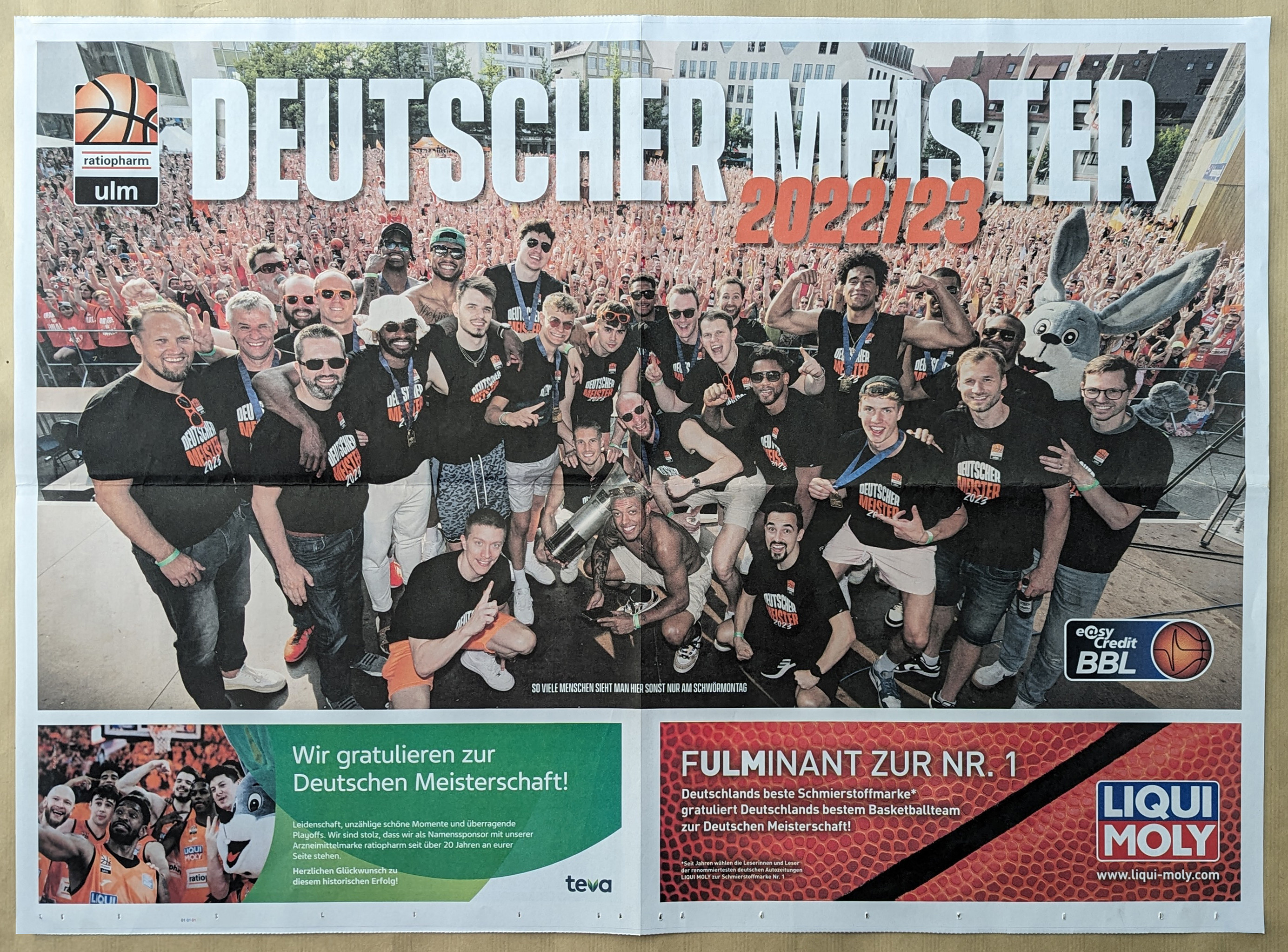 Basketball - Deutscher Meister im Posterformat